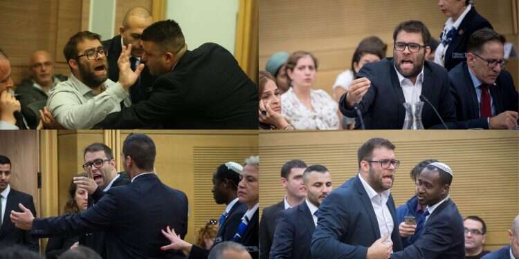 צילום: מרים אלסטר, פלאש90, יונתן זינדל פלאש90, פלאש90 ומרים צחי