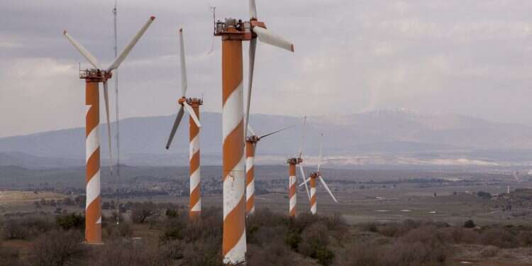 צילום: אופיר דוד