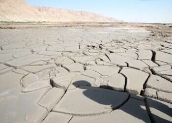 צילום: מרים צחי
