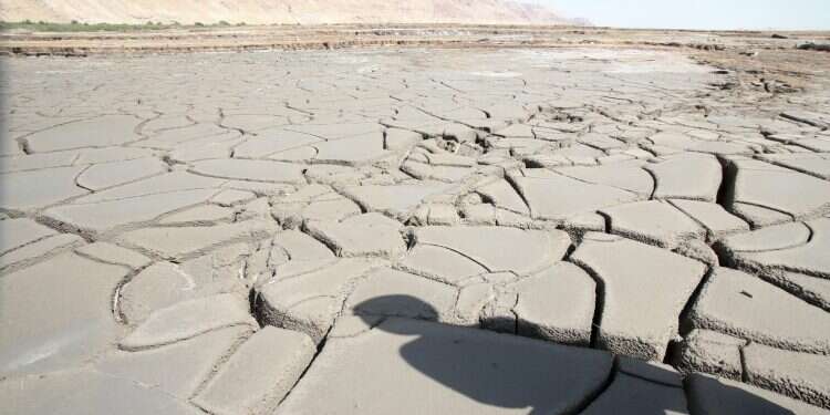 צילום: מרים צחי