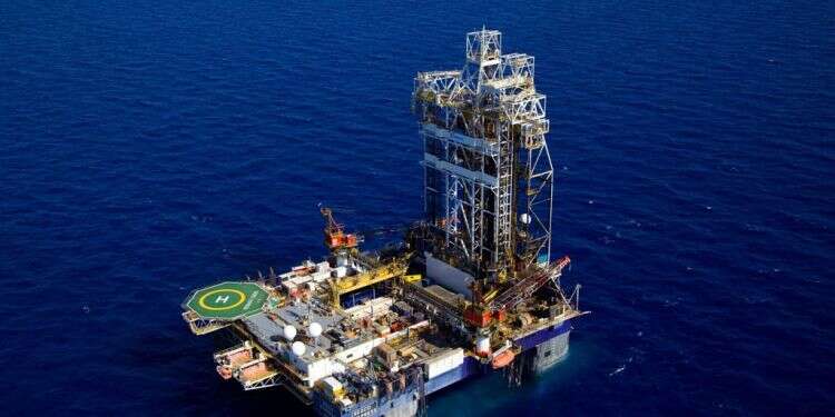 צילום: אלבטרוס