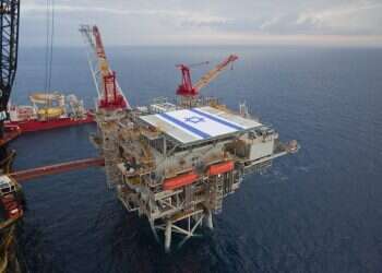 צילום: אלבטרוס