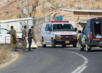 צילום: אייל מרגולין ג'יני