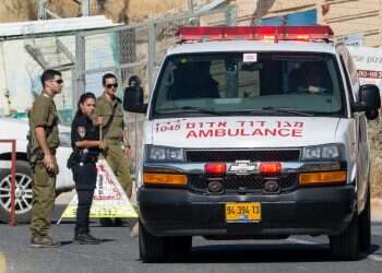 צילום: אייל מרגולין ג'יני