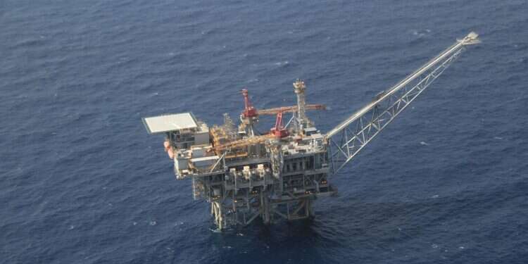 צילום: יהודה יפרח