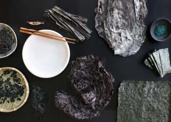 צילום: אפרת ליכטנשטט