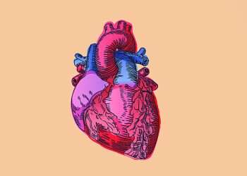 איור: שאטרסטוק