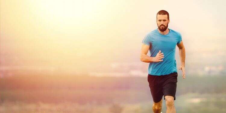 צילום: שאטרסטוק צילום: שאטרסטוק