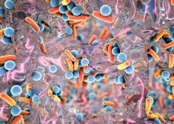 חיידק עמיד לאנטיביוטיקה. צילום: שאטרסטוק