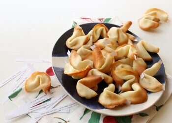 צילום: אפרת ליכטנשטט