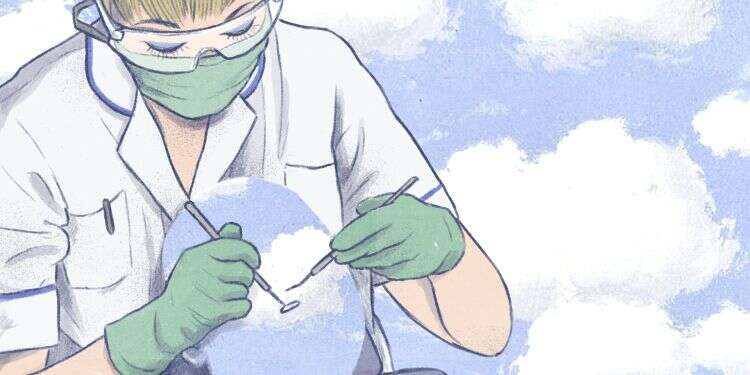 איור: דניאל פלג איור: דניאל פלג