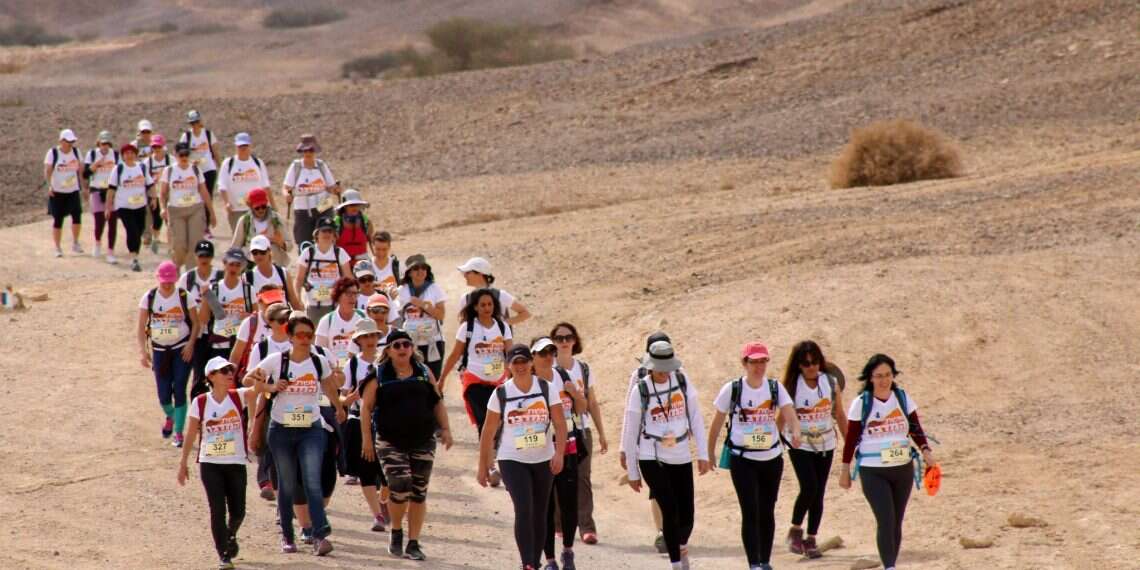 צילום: אירית עמיר