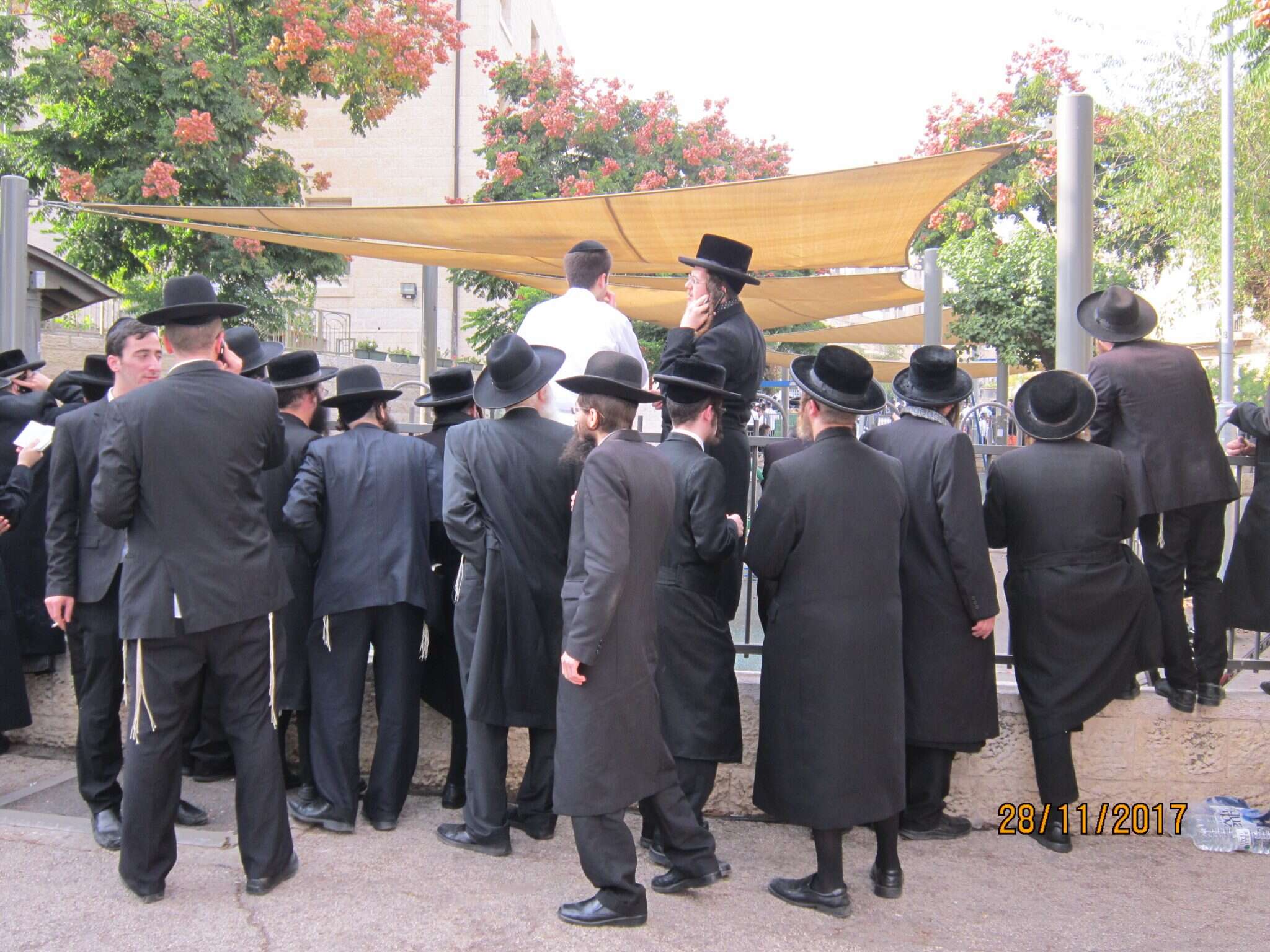 צילום: דורון בקל איילון