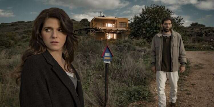 להעיר את הדוב. צילום: פיני סילוק צילום: פיני סילוק