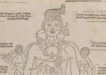 צילום: באדיבות האקדמיה לרפואה ניו-יורק