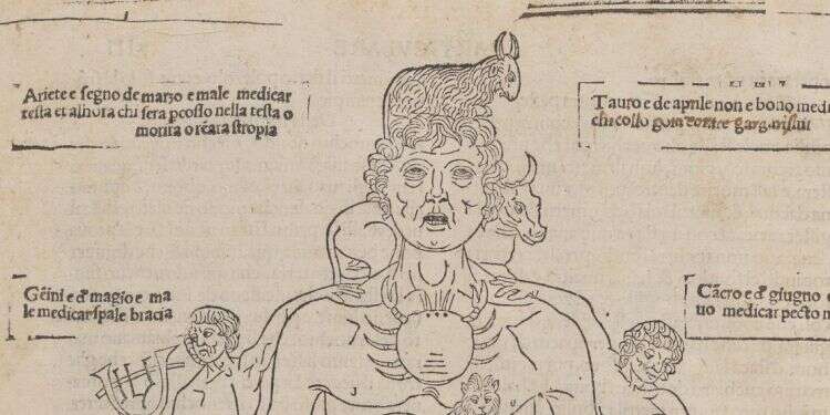 צילום: באדיבות האקדמיה לרפואה ניו-יורק