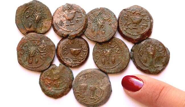 צילום: אילת מזר