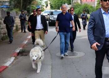 ראש ממשלת ונהפוכו: קאיה, מתברר, לא שוכחת כל כך מהר