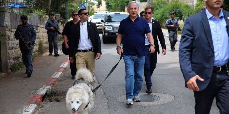 ראש ממשלת ונהפוכו: קאיה, מתברר, לא שוכחת כל כך מהר