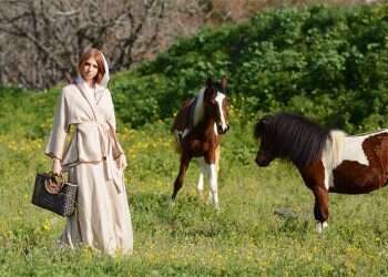 צילום: ירדן הראל