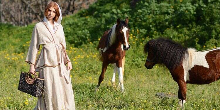 צילום: ירדן הראל