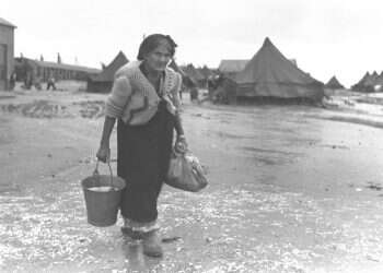 צילום: בראונר טדי, לע"מ