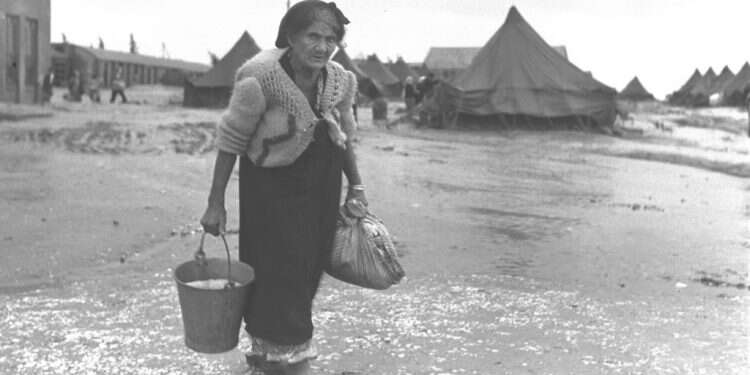 צילום: בראונר טדי, לע"מ