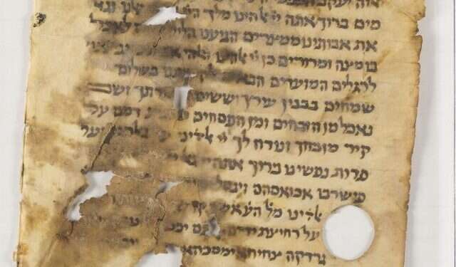 ההגדה מהמאה ה-11. קרדיט: באדיבות ספריית בית המדרש לרבנים בניו יורק קרדיט: באדיבות ספריית בית המדרש לרבנים בניו יורק