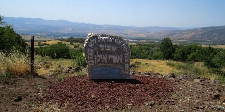שביל אורי אילן, סמוך לשאר ישוב. צילום: אורי איתיאל צילום: אורי איתיאל