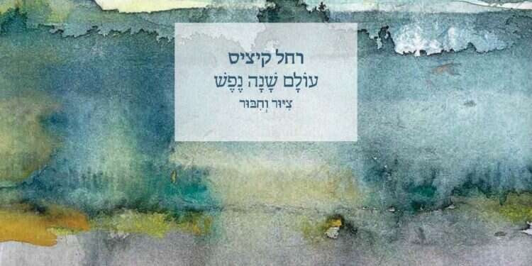 מתבוננת בבריאה