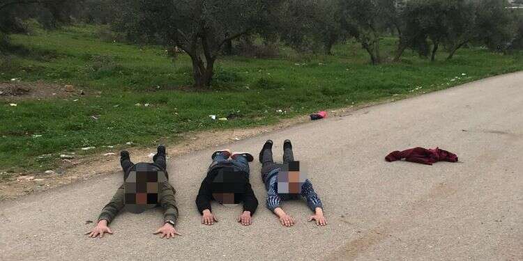 צילום: דוברות המשטרה