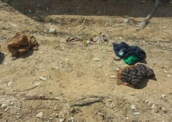 צילום: דוברות המשטרה