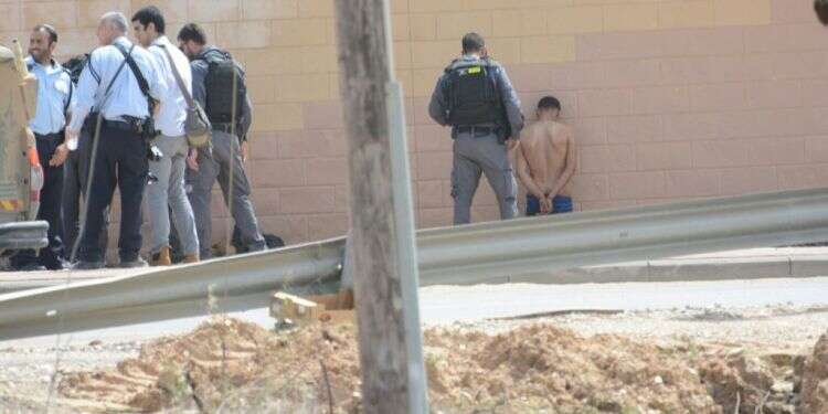 צילום: שמואל הס, TPS