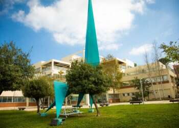 צילום: אבישג שאר-ישוב