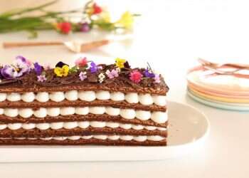 צילום: אפרת ליכטנשטט