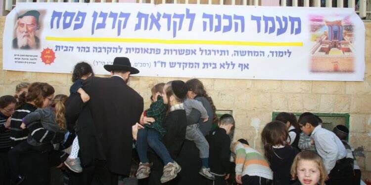 צילום ארכיון: מרים צחי