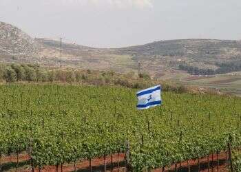 יהודה ושומרון. צילום: מרים צחי צילום: מרים צחי