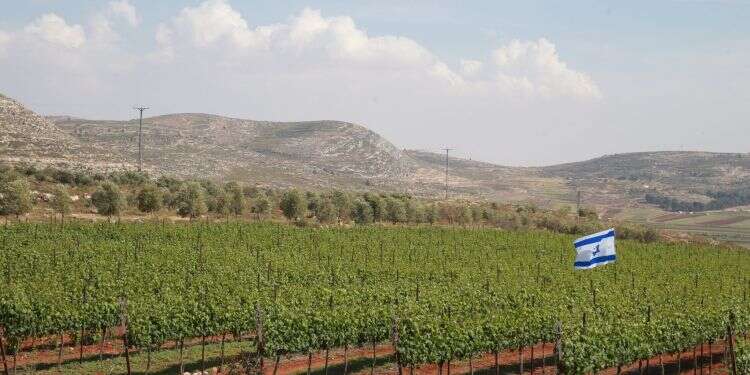 יהודה ושומרון. צילום: מרים צחי צילום: מרים צחי