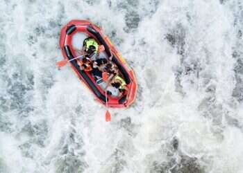 צילום: אנצ׳ו גוש-ג׳יני