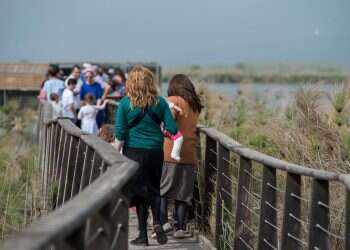 צילום: גיל אליהו ג'יני
