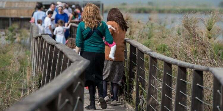 ישראלים בצפון. צילום: גיל אליהו ג'יני צילום: גיל אליהו ג'יני