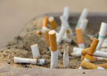 צילום: שאטרסטוק