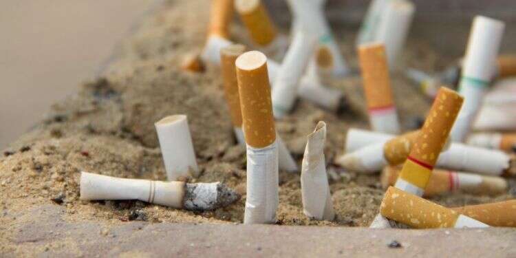 בדלי סיגריות. צילום: שאטרסטוק צילום: שאטרסטוק