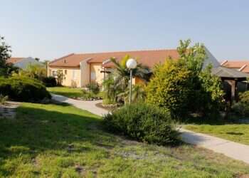 צילום: יהודה פרץ