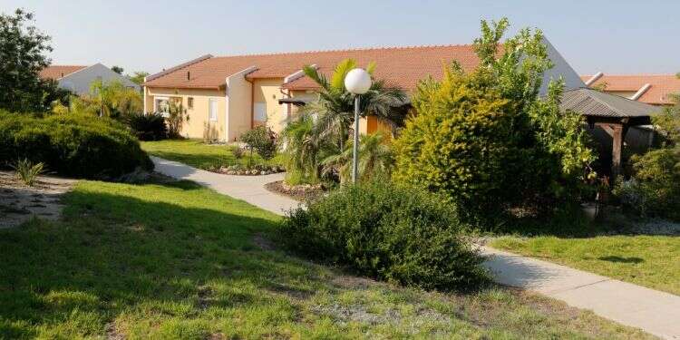 צילום: יהודה פרץ