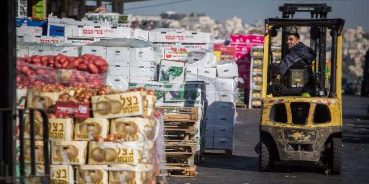 צילום: הדס פרוש,פלאש90