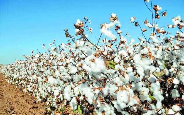 צילום: שאטרסטוק