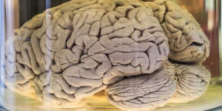 צילום אילוסטרציה: שאטרסטוק