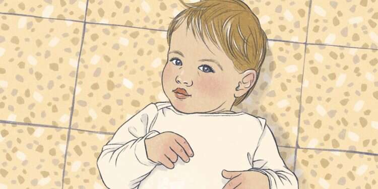 איור: דניאל פלג