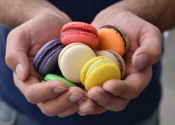 צילום: חן קורן